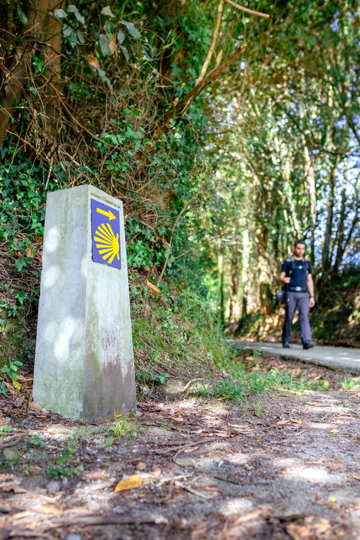 Mojón del Camino de Santiago con peregrino caminando hacia Fisterra y Muxía en Galicia